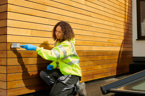Best Stucco Siding  in Shelby, MS